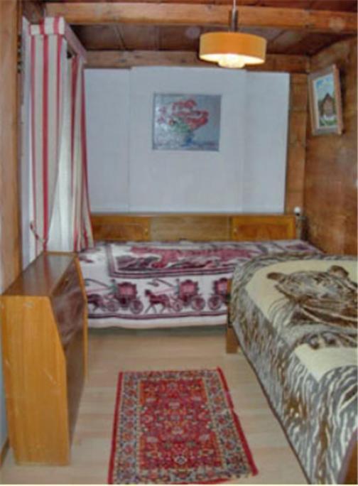 Apartments Dr. Med. Vet. Tempelman Interlaken Room photo